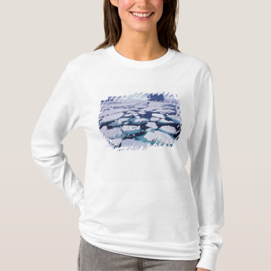 南極大陸、氷の流れ。 Tシャツ (正面)
