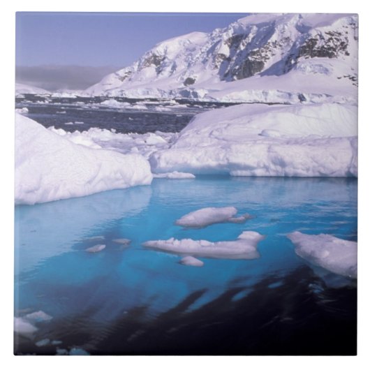 南極大陸。氷上脱出機2号の探検 タイル (正面)