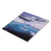 南極大陸。氷上脱出機2号の探検 タイル (側面)