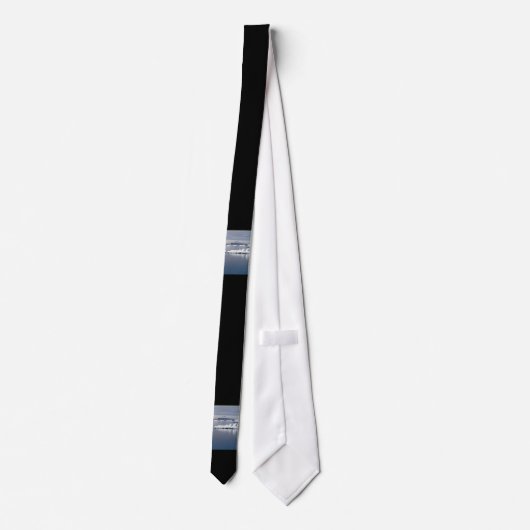 南極景観 ネクタイ (裏面)