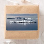 南極景観 ラベル (インサイチュ)