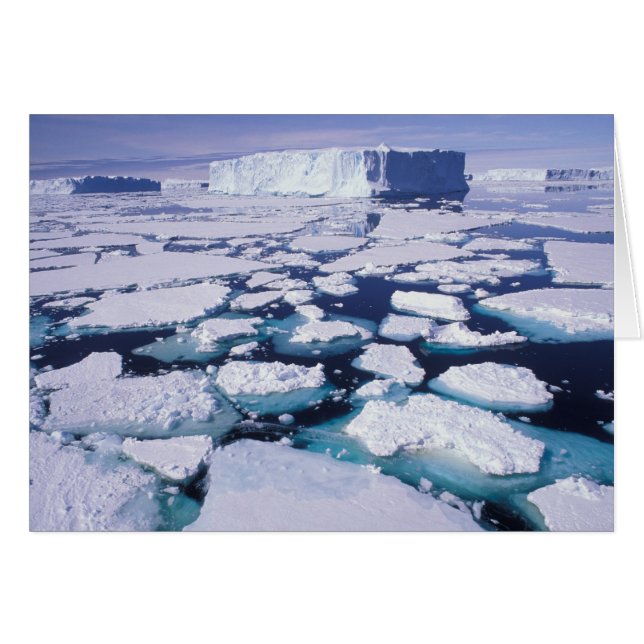 南極氷流。 (正面横)