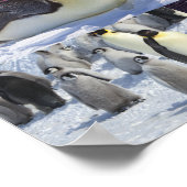 南極皇帝ペンギンのコラージュのポスター ポスター (角)