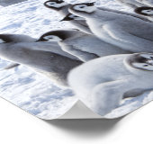 南極皇帝ペンギンチックス写真コラージュ ポスター (角)