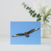 南極空が飛行している ポストカード (スタンド正面)