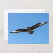 南極空が飛行している ポストカード (正面/裏面)