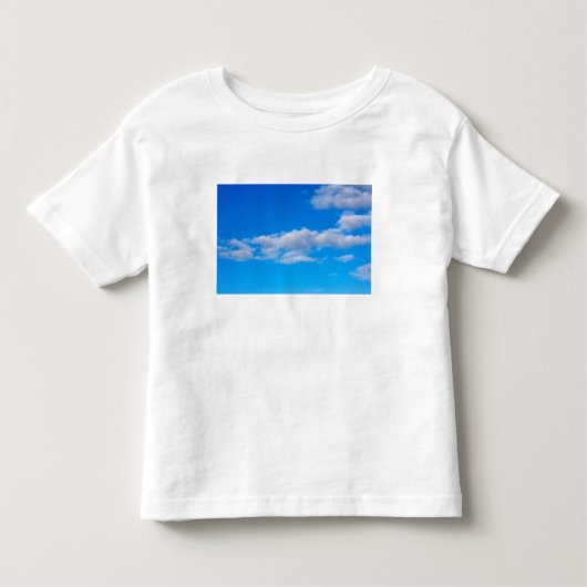 南極西部上空の積雲 トドラーTシャツ (正面)