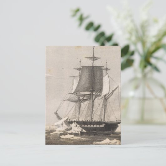 南極2 ポストカード (スタンド正面)