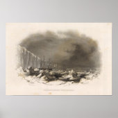 南極4 ポスター (正面)