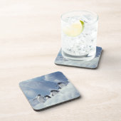 南極.アデリーペンギン コースター (右側)