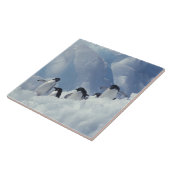 南極.アデリーペンギン タイル (側面)