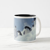 南極.アデリーペンギン ツートーンマグカップ (正面右)
