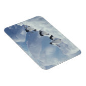 南極.アデリーペンギン マグネット (右側)