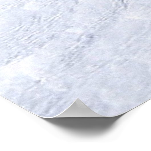 南極、アンタルカ ポスター (角)