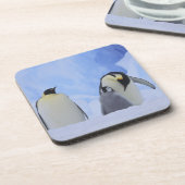 南極。コウテイペンギンと雛 コースター (左側)