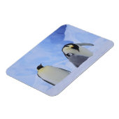 南極。コウテイペンギンと雛 マグネット (左側)