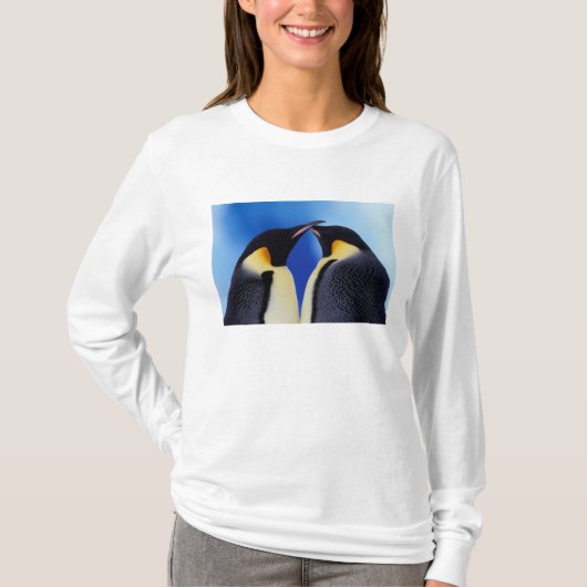 南極 コウテイペンギン Tシャツ (正面)
