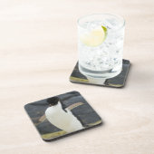 南極 コースター (右側)