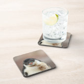 南極 コースター (右側)