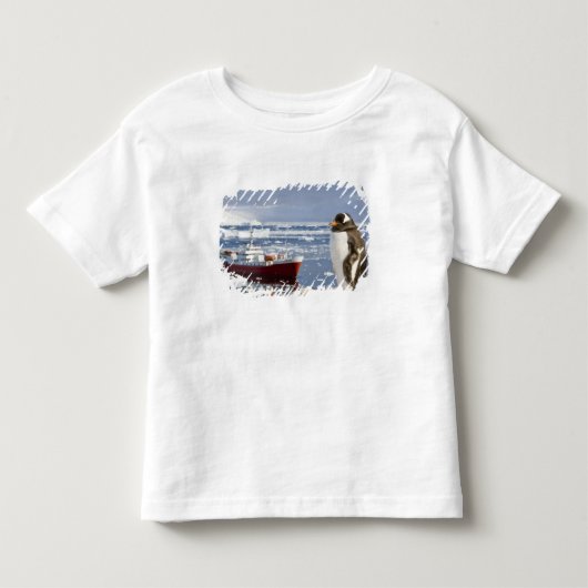 南極 ネココーブ(港) ジェンツーペンギン トドラーTシャツ (正面)