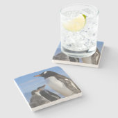 南極 ネココーブ(港) ジェンツーペンギン 2 ストーンコースター (横)