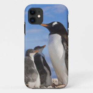 南極 ネココーブ(港) ジェンツーペンギン 2 iPhone 11 ケース