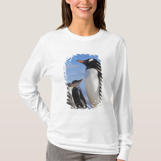 南極 ネココーブ(港) ジェンツーペンギン 2 Tシャツ (正面)