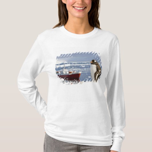 南極、ネココーブ(港)。ジェンツーペンギン Tシャツ (正面)