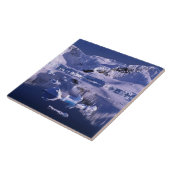 南極、パラダイスベイ タイル (側面)