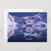 南極、パラダイスベイ ポストカード (正面/裏面)