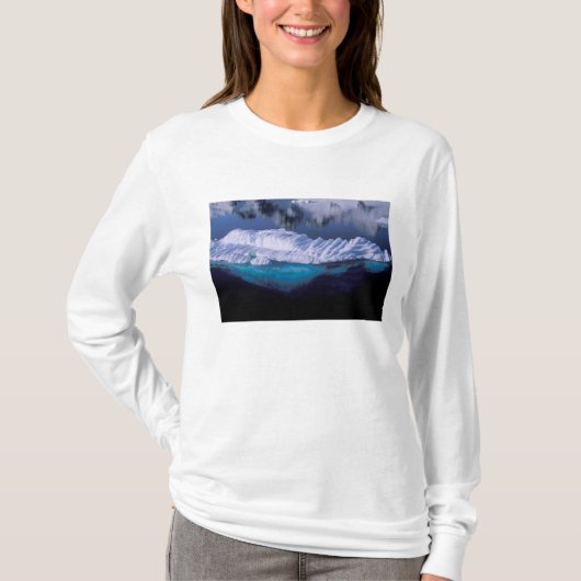 南極 パラダイス湾 水晶のように澄んだ水面に浮かぶ氷山 Tシャツ (正面)