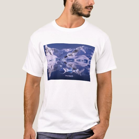 南極 パラダイス湾 Tシャツ (正面)
