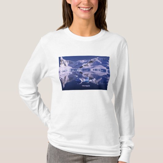 南極 パラダイス湾 Tシャツ (正面)