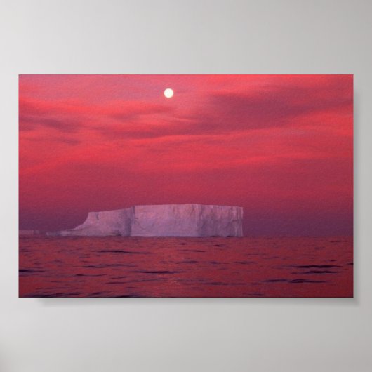 南極 ポスター (正面)