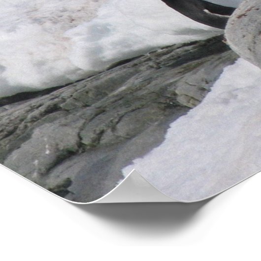 南極 ポスター (角)