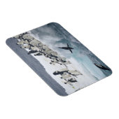 南極、ポーレット島。アデリーペンギン マグネット (右側)