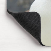 南極 マウスパッド (コーナー)