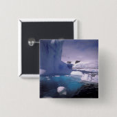南極。南極の氷景2 缶バッジ (正面&裏面)