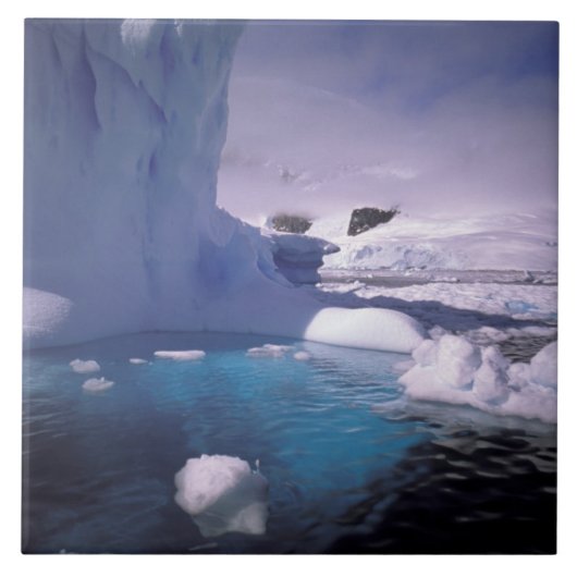南極。南極の氷景 2 タイル (正面)