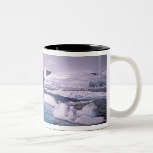南極。南極の氷景 2 ツートーンマグカップ (右)