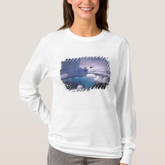 南極。南極の氷景 2 Tシャツ (正面)
