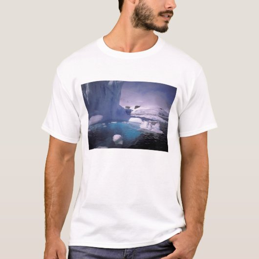 南極。南極の氷景 2 Tシャツ (正面)
