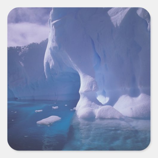 南極。南極の氷景 3 スクエアシール (正面)
