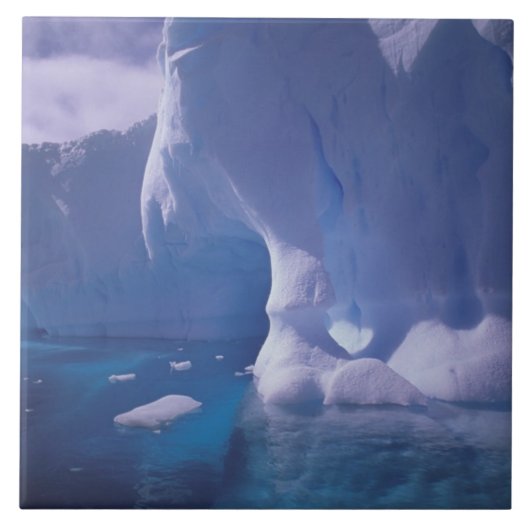 南極。南極の氷景 3 タイル (正面)