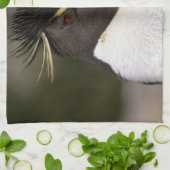 南極、南極亜諸島、南5 キッチンタオル (折り畳み)