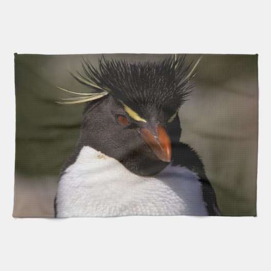 南極、南極亜諸島、南5 キッチンタオル (横)