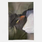 南極、南極亜諸島、南5 キッチンタオル (縦)