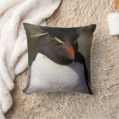 南極、南極亜諸島、南5 クッション (ブランケット)