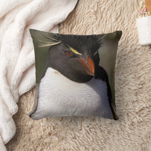 南極、南極亜諸島、南5 クッション (ブランケット)