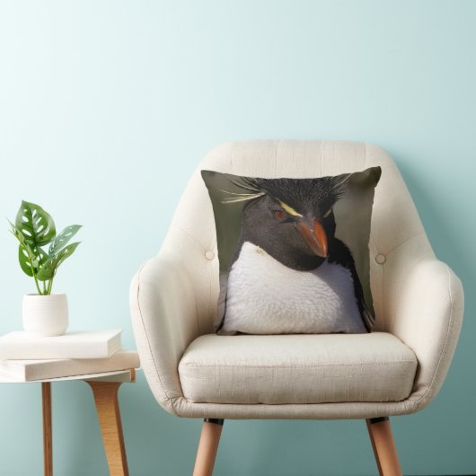 南極、南極亜諸島、南5 クッション (椅子)